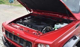 4虎国产视频,激情燃烧的青春岁月